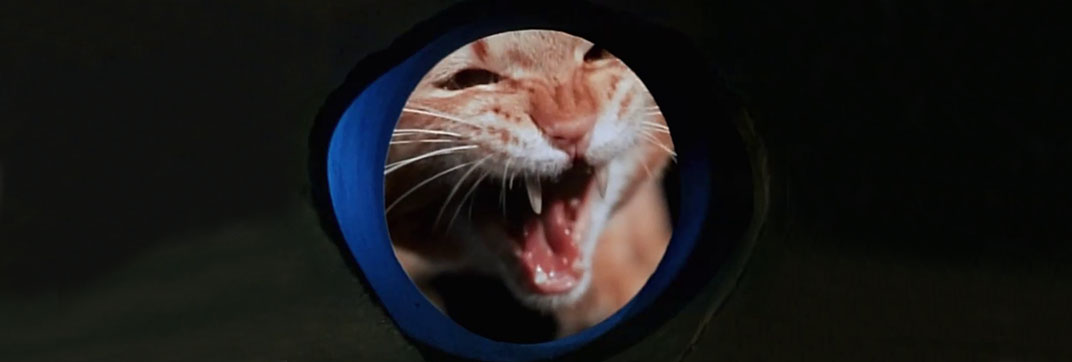 Land of the Giants – “Double Cross”