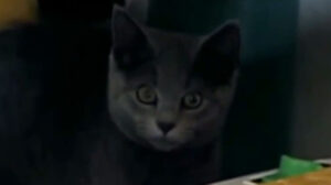 The Smashing Machine (2002)