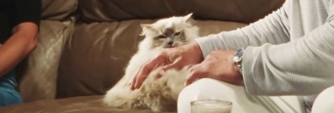 The Smashing Machine (2025)