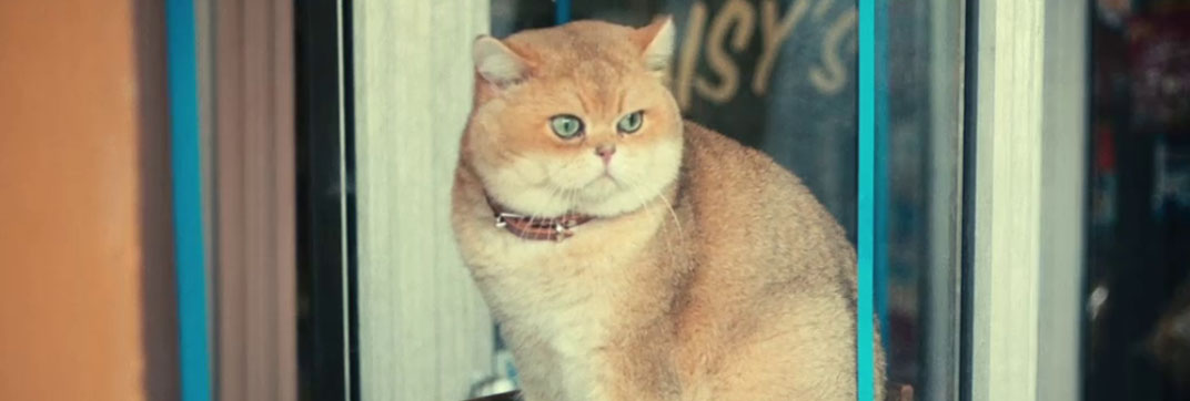 The Toxic Avenger (2023)