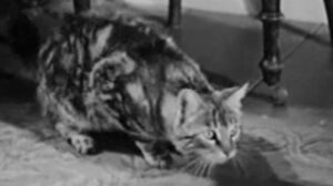 The Villain Still Pursued Her (1940)