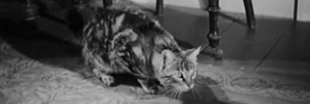 The Villain Still Pursued Her (1940)