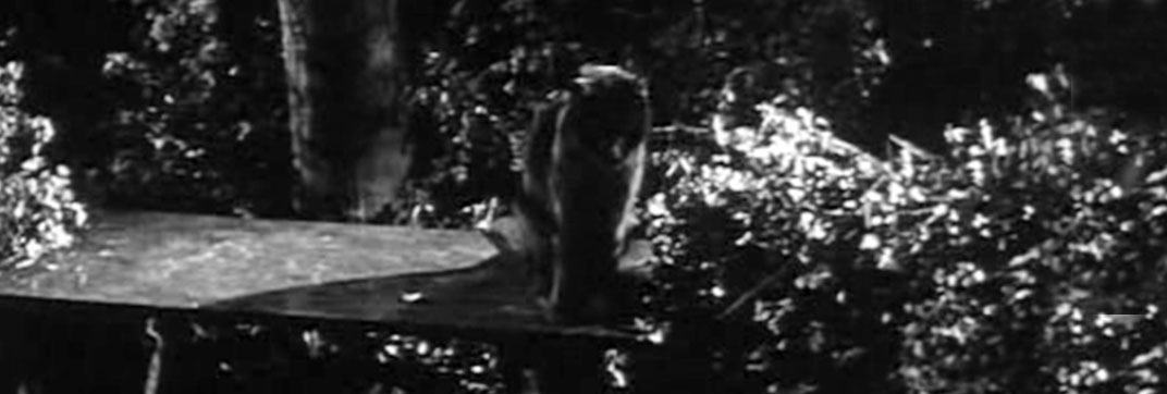 Burke’s Law – “Who Killed My Girl?”