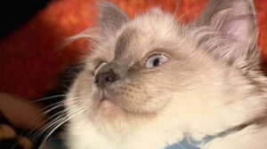 Doctor Who – “Gridlock”