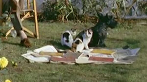 Donald Sinden at Home (1959)