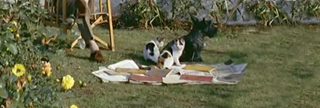 Donald Sinden at Home (1959)