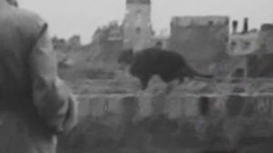 The Hangman Waits (1947)