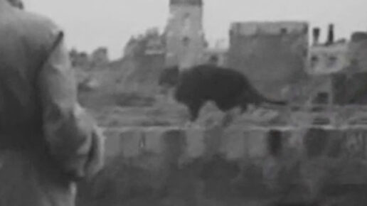 The Hangman Waits (1947)