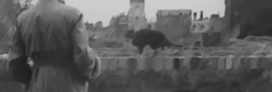 The Hangman Waits (1947)