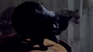 Jack the Ripper (1976)