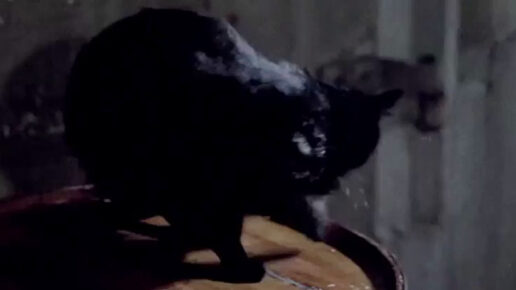 Jack the Ripper (1976)