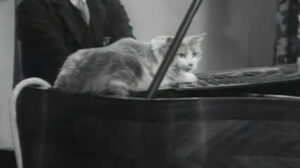 Johnny on the Spot (1954)