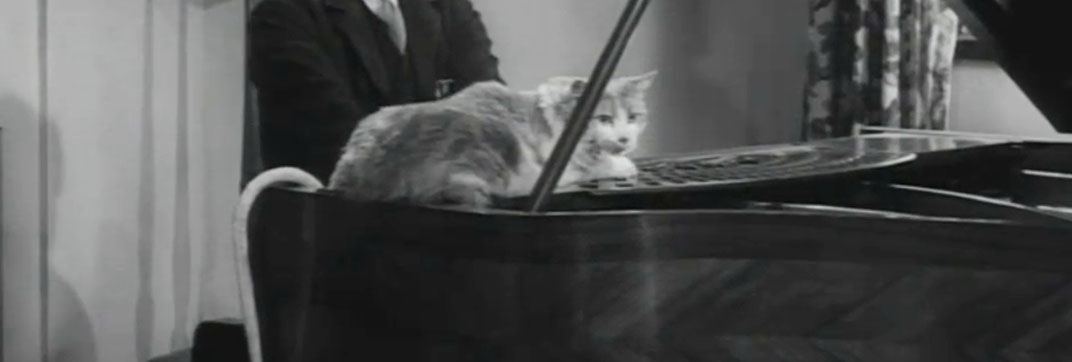 Johnny on the Spot (1954)