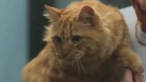 The Night Manager – “Season 2, Episode 1”