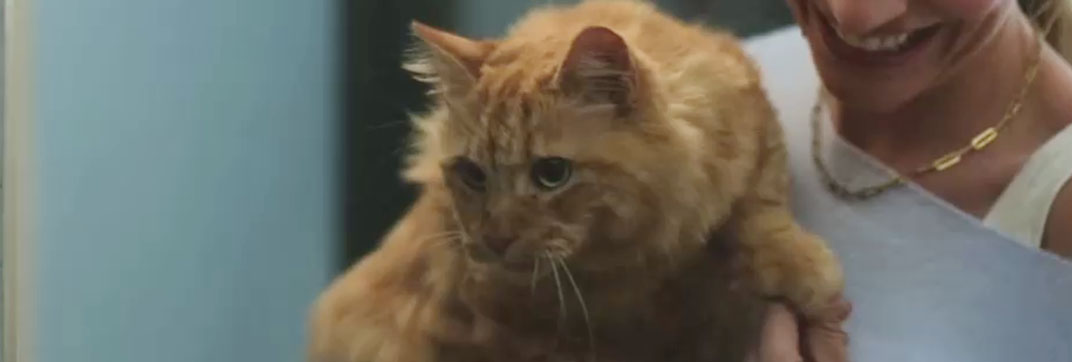 The Night Manager – “Season 2, Episode 1”