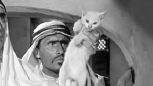 Quel fantasma di mio marito (1950)