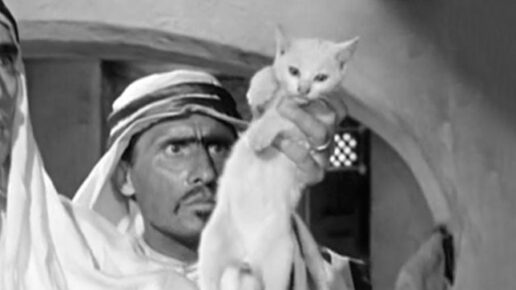 Quel fantasma di mio marito (1950)