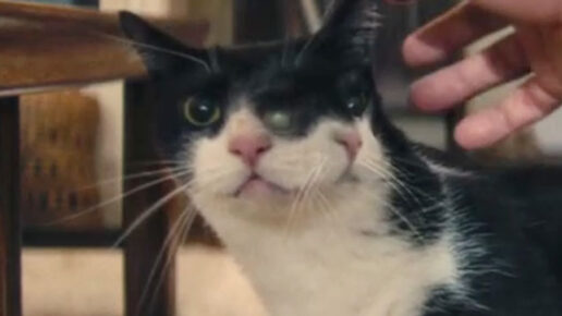 The Secret Agent (2025)