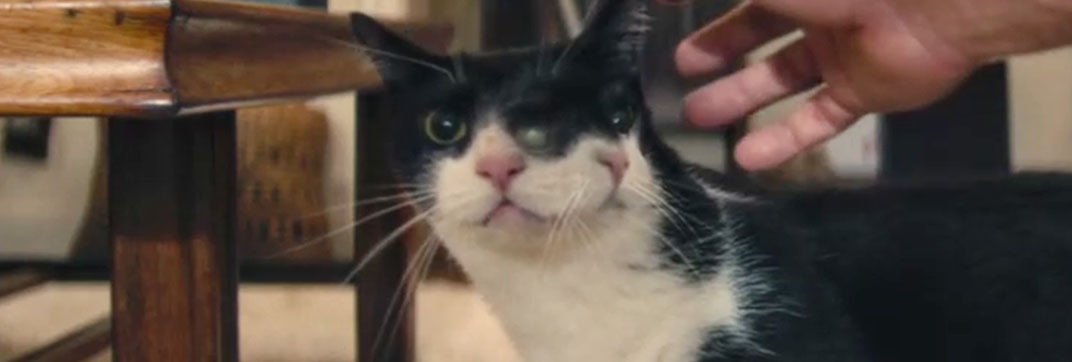 The Secret Agent (2025)