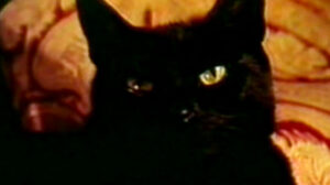 Son of Dracula (1973)