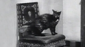 The Taming of the Shrew (1929)