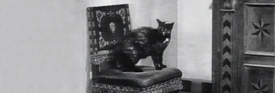 The Taming of the Shrew (1929)