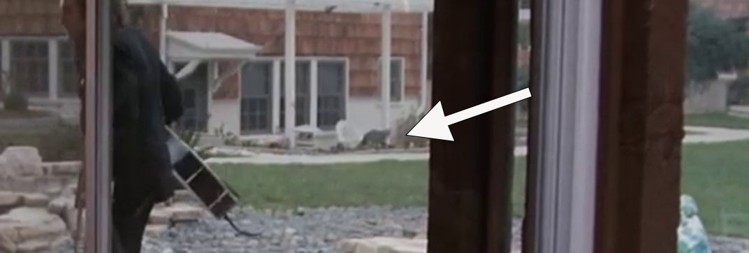 Columbo – “Swan Song”