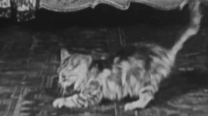 Forgotten Sweeties (1927)