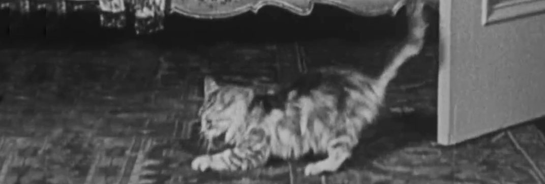 Forgotten Sweeties (1927)