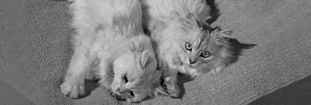 For Heaven’s Sake (1950)