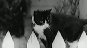 Huckleberry Finn (1931)