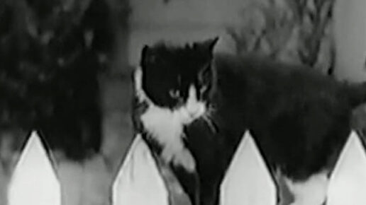 Huckleberry Finn (1931)