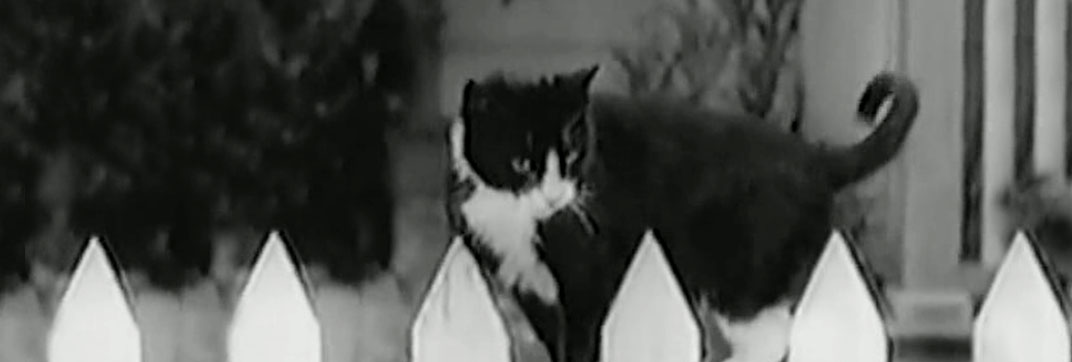 Huckleberry Finn (1931)