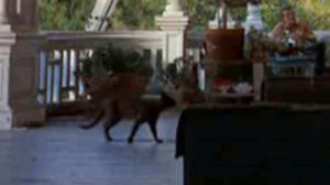 Ironside – “Priest-Killer”