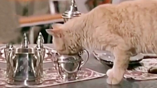 Kraft Suspense Theatre – “The End of the World, Baby”