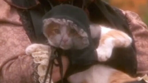 Love at Stake (1987)