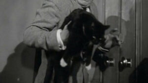 Miss Robin Hood (1952)