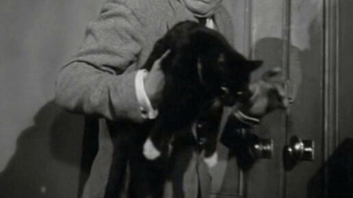 Miss Robin Hood (1952)