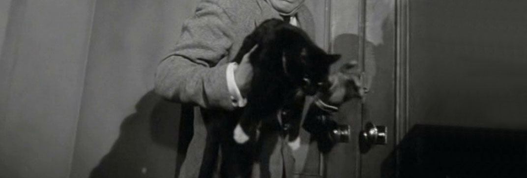 Miss Robin Hood (1952)