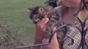 Play for Today – “Penda’s Fen”