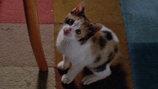 The Pyjama Girl Case (1978)