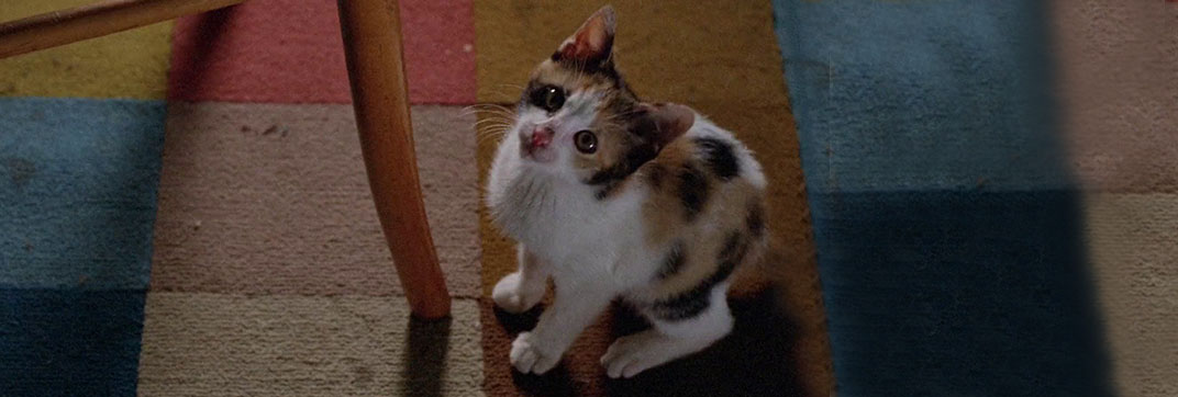 The Pyjama Girl Case (1978)