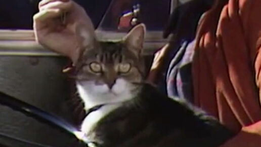 Rafferty’s Rules – “Unaired Pilot” (1984)