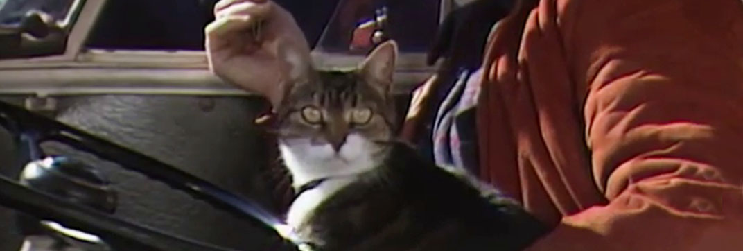 Rafferty’s Rules – “Unaired Pilot” (1984)