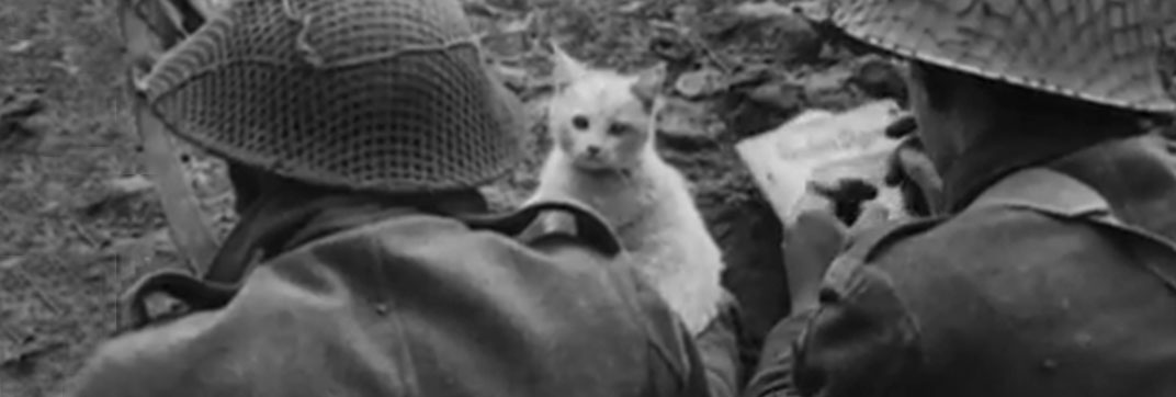 Snapshots from Normandy (1944)