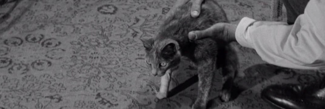 Step Down to Terror (1958)