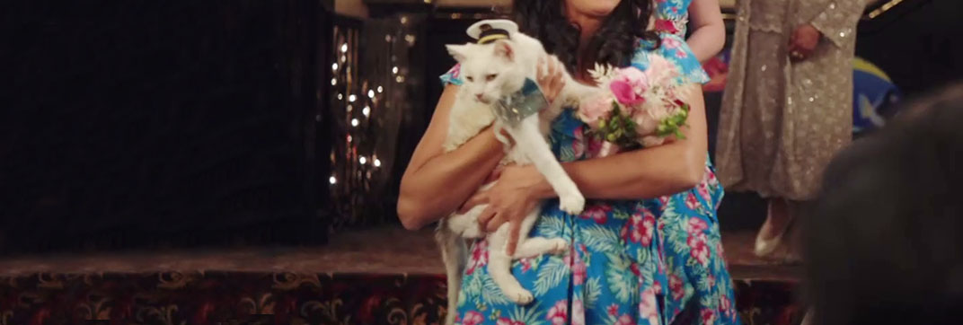 Superstore – “Sandra’s Wedding”