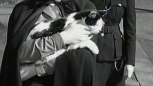 Yield to the Night (1956)