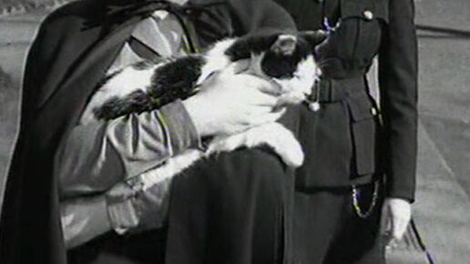 Yield to the Night (1956)