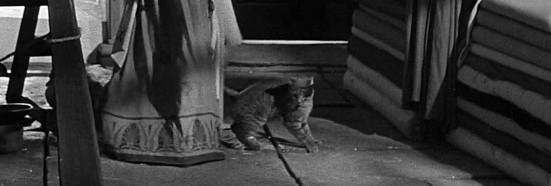 Androcles and the Lion (1952)